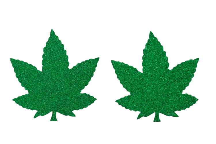 1223 - Green leaf shape pasties