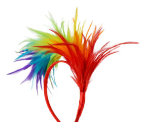 63024 - Rainbow feather headband