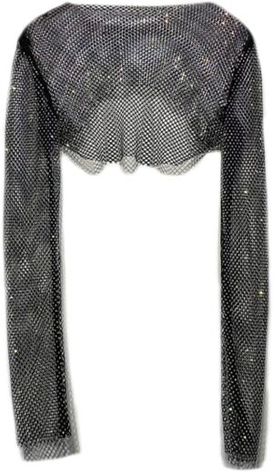 94084 - Rhinestone Mesh Crop Top