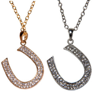 55008 - Horseshoe Pendant Necklace
