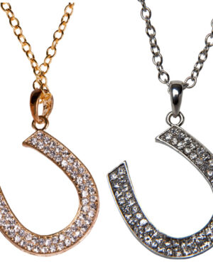 55008 - Horseshoe Pendant Necklace