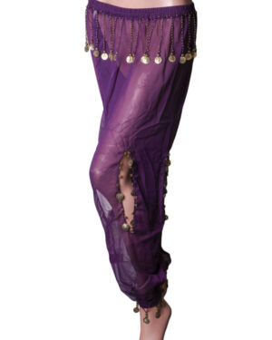 2064 - Harem Pants with Coin Charms