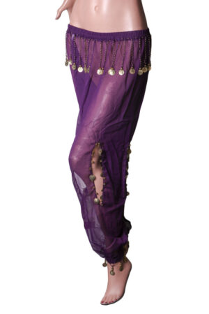 2064 - Harem Pants with Coin Charms