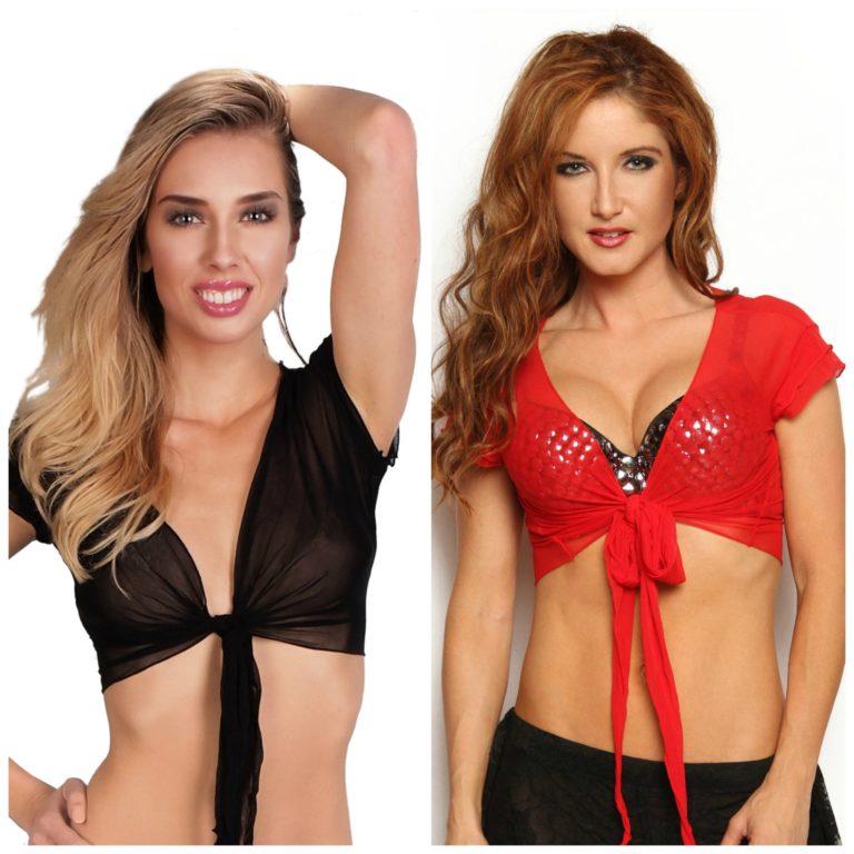 2978 - Sheer Crop Top - Image 5