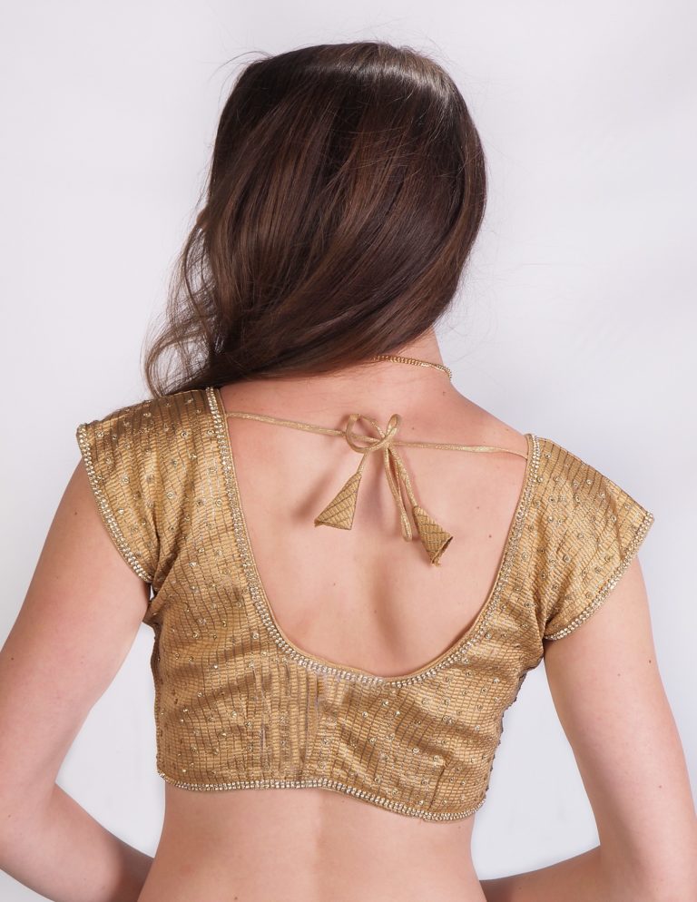 3103 - Tissue Glitter Choli Top - Image 3