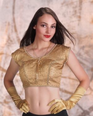 3103 - Tissue Glitter Choli Top