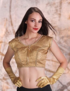 3103 - Tissue Glitter Choli Top