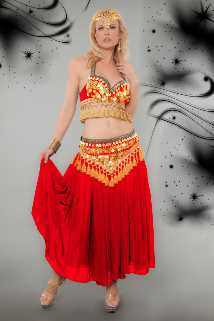 4139 - Belly Dancer Costume, 3 Pc. Set - Includes Top, Belt and Skirt - Image 3