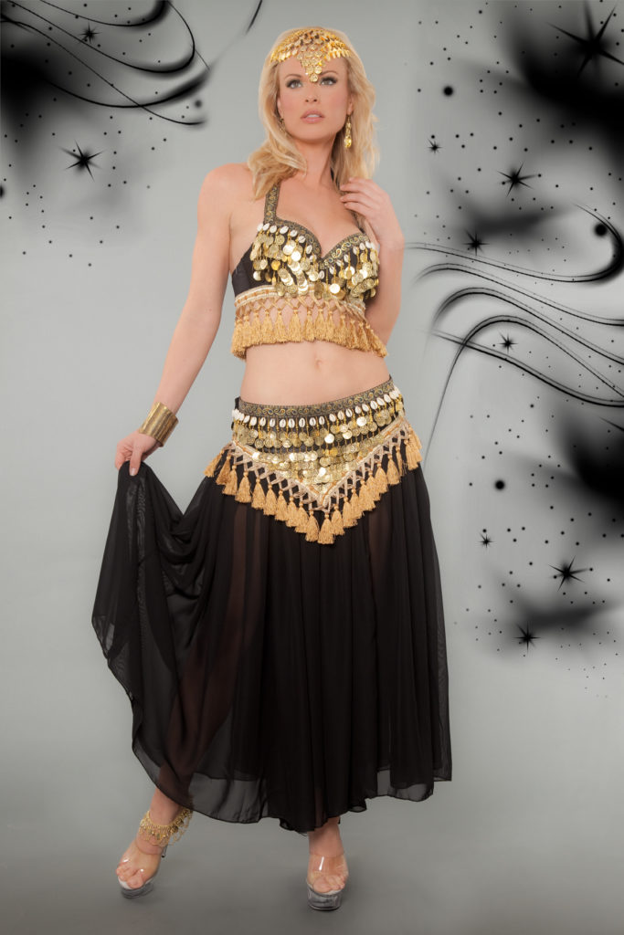 4139 - Belly Dancer Costume, 3 Pc. Set - Includes Top, Belt and Skirt - Image 4
