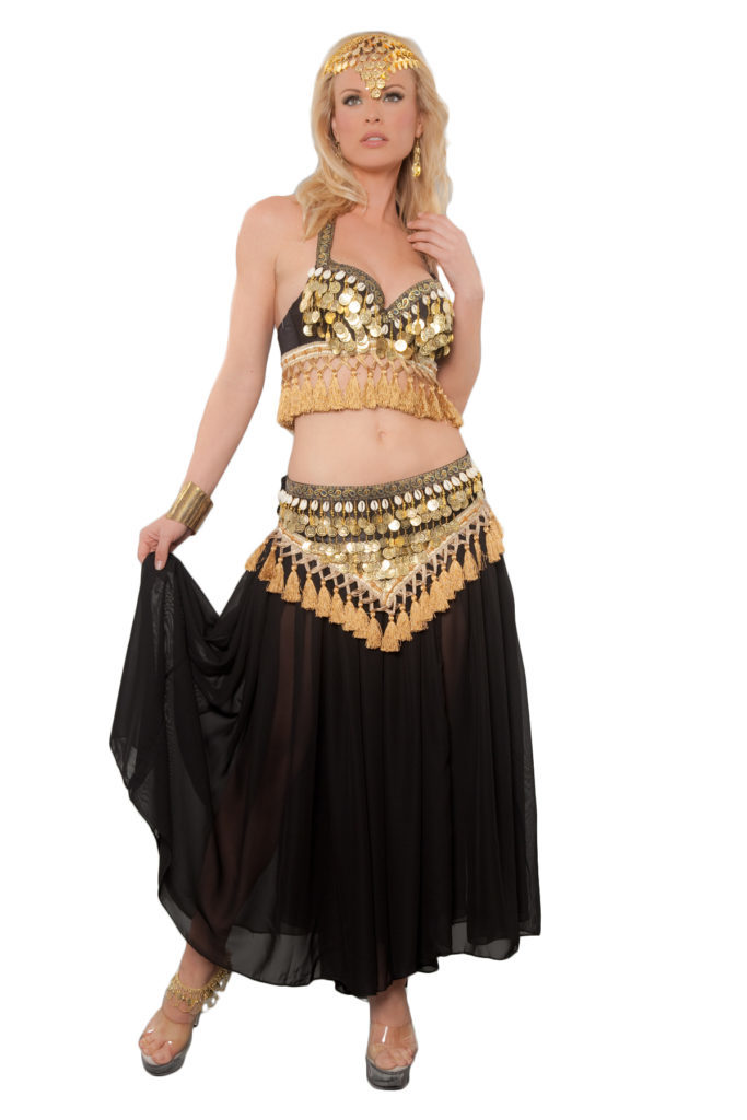 4139TB - Belly Dancer Costume, 2 Pc. Set - Includes Top and Belt - Image 3