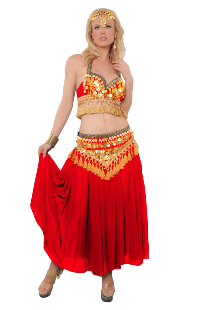 4139TB - Belly Dancer Costume, 2 Pc. Set - Includes Top and Belt - Image 4