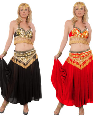 4139 - Belly Dancer Costume, 3 Pc. Set - Includes Top, Belt and Skirt
