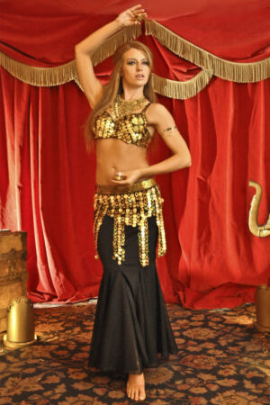 4241 - 3 Pc Paillette Mermaid set (Top, Belt, & Skirt)