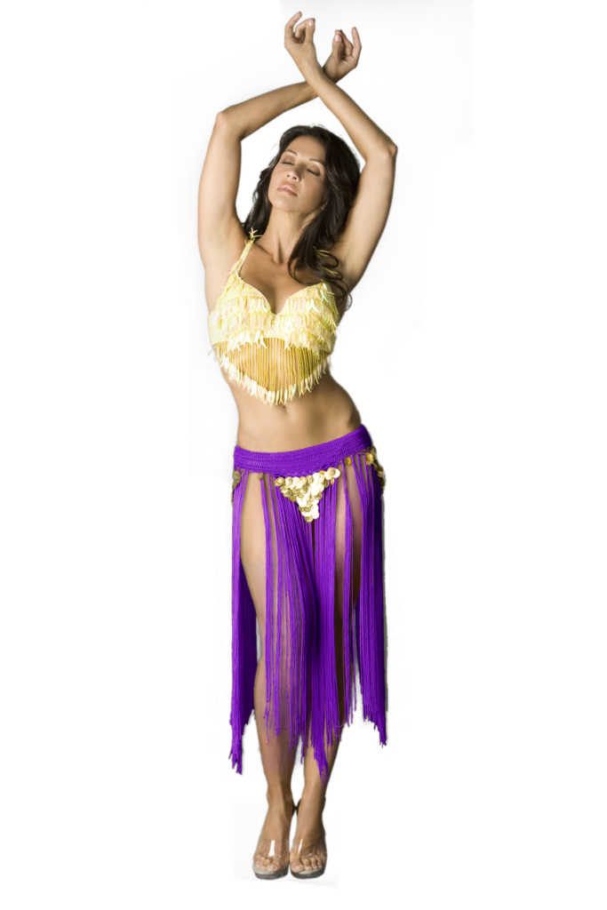 541 - Gypsy Belt with Fringes & coins - Image 7