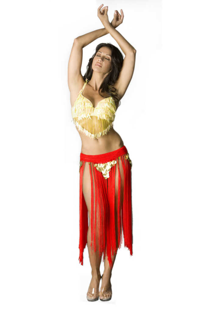 541 - Gypsy Belt with Fringes & coins - Image 6