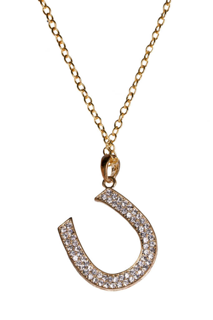 55008 - Horseshoe Pendant Necklace - Image 2