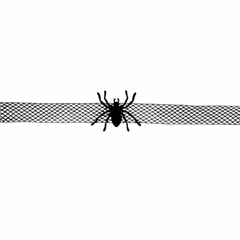 55438 - Spider Choker - Image 2