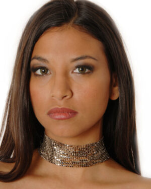 8275 - Metal Mesh Choker