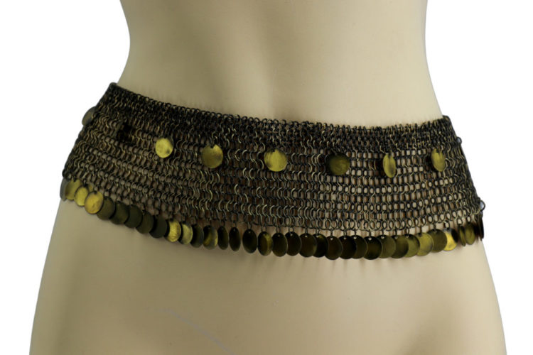 8391 - Chainmail Small Ring Belt with Coins - Image 2