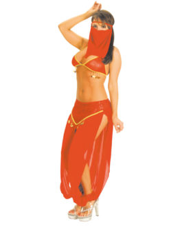 8553_Complete Costume (2)