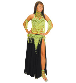 8558 - Beaded Fringed Belly Dancer Set