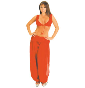 8560 - 2 Pc. Harem Pant Set