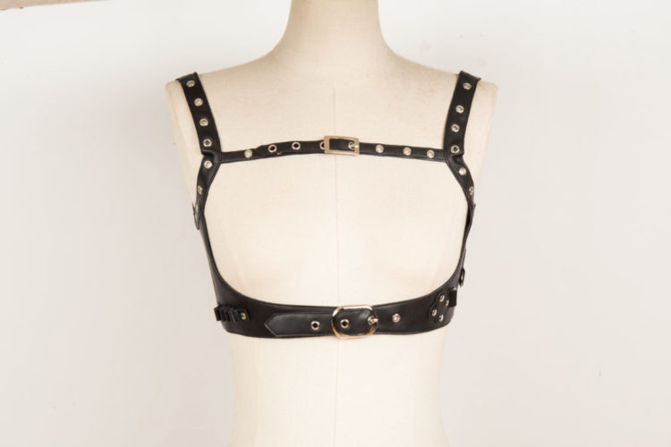 GC31708 - Steampunk Harness - Image 14