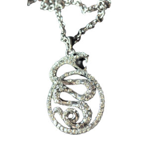 LC248 - Snake with spiral circle