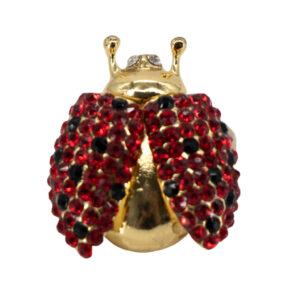 YR2013 - Ring with Lady Bug