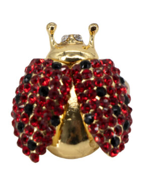 YR2013 - Ring with Lady Bug