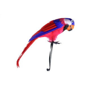 70134 - Pirate Parrot Shoulder, multi color