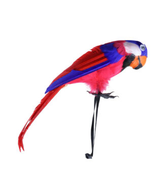 70134 - Pirate Parrot Shoulder, multi color