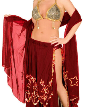 2459 - Belly Dancer 3pc Set, Purple/Silver