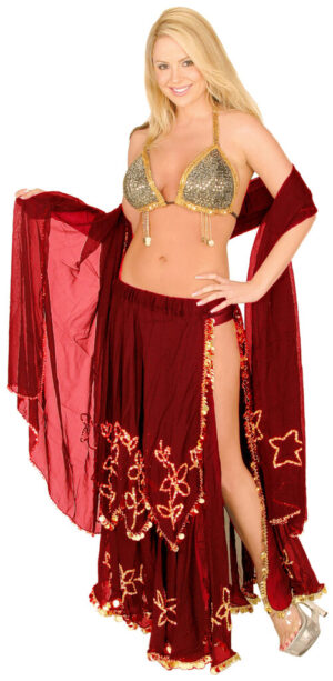 2459 - Belly Dancer 3pc Set, Purple/Silver