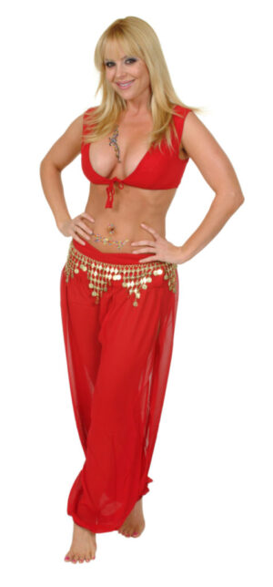 1527 - Belt Coin Triangles - Silver