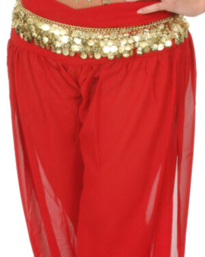 1744 - Belly Dancer Belt with Coins