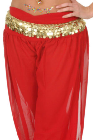 1744 - Belly Dancer Belt with Coins