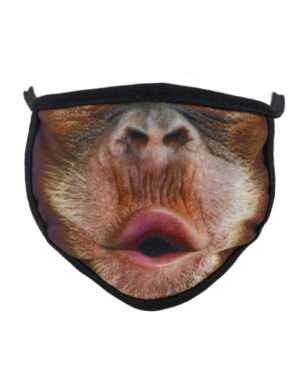 106422 - facemask - monkey