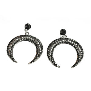 22819 - Earrings, Double Horn