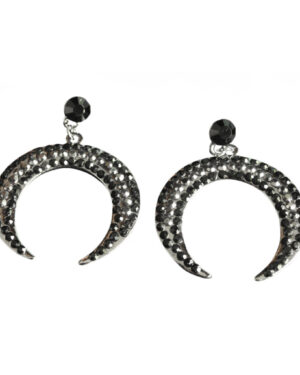 22819 - Earrings, Double Horn