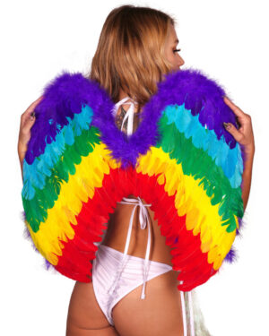 63009RNB - Wings - Rainbow