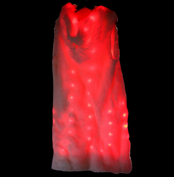 LED810 - LED Faux Fur Long Jacket with Hood - Image 5