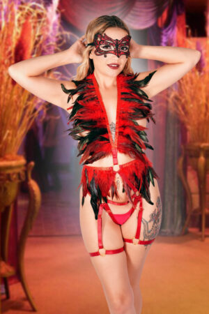 4243 - Black and Red Feather Top and Garter Bottom