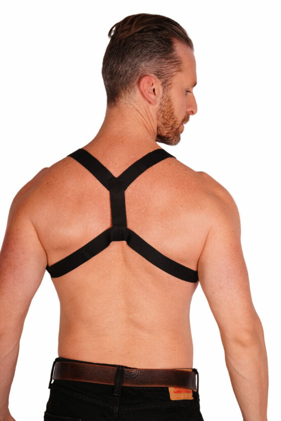 14619 - Double Strap Men's Harness - Image 2