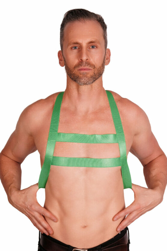 14619 - Double Strap Men's Harness - Image 7
