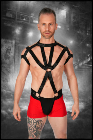 14622 - Multi strap Men's one-piece harness