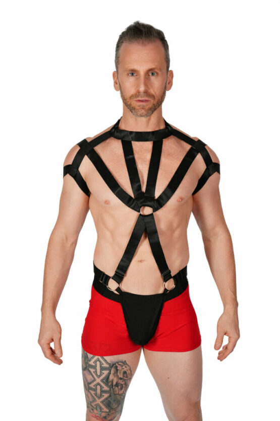 14622 - Multi strap Men's one-piece harness - Image 3