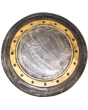 UFC32 - Foam Shield 22 1/2 x 15"