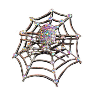 P4853 - Cobweb Rhinestone Brooch, Silver
