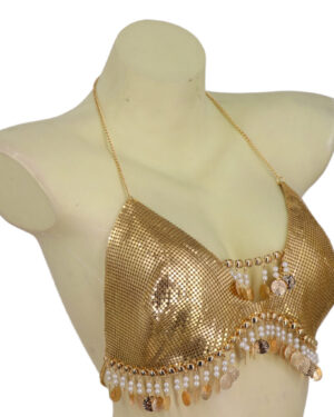 14766 - Gold metal mesh top with coins